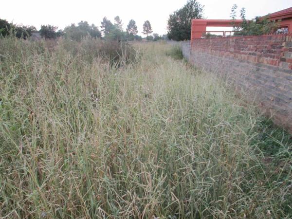 2 032 m² Land