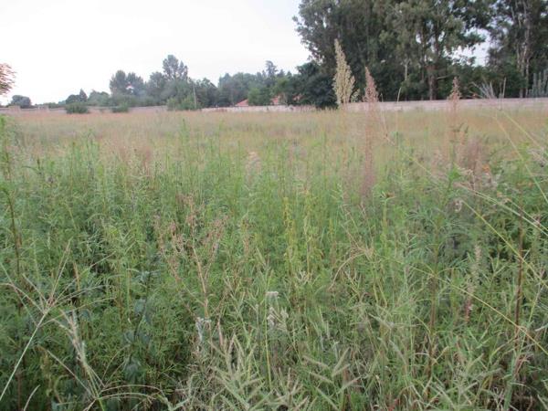 2 000 m² Land