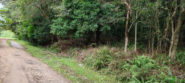 2 276 m² Land