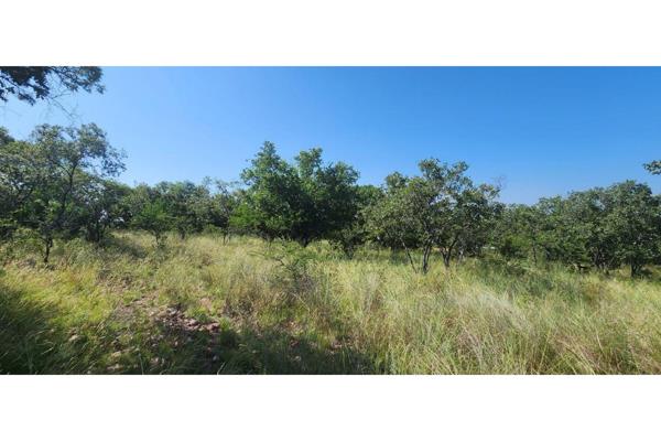 1.1 ha Land