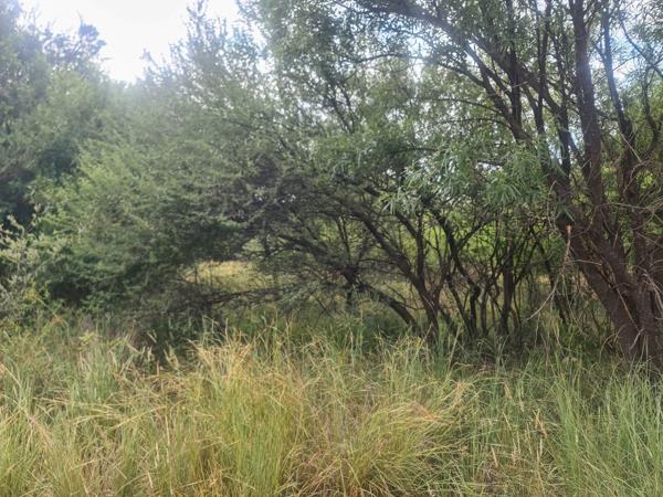 904 m² Land