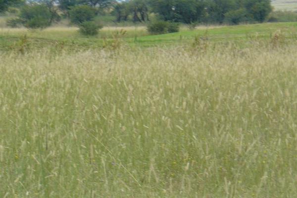 725 m² Land