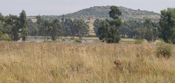 8 600 m² Land