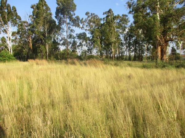 2 142 m² Land