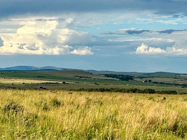 426 ha Farm