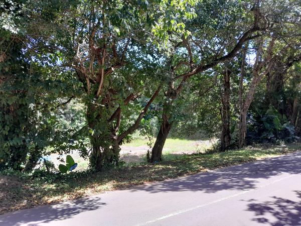 1 017 m² Land