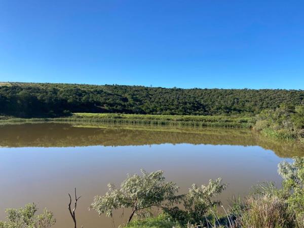 163 ha Farm