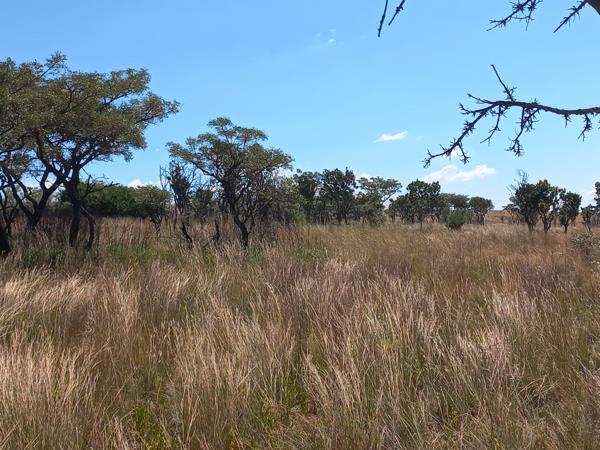 22.2 ha Land