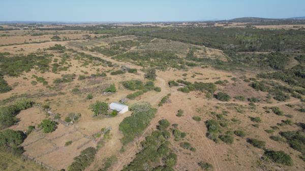 318 ha Farm