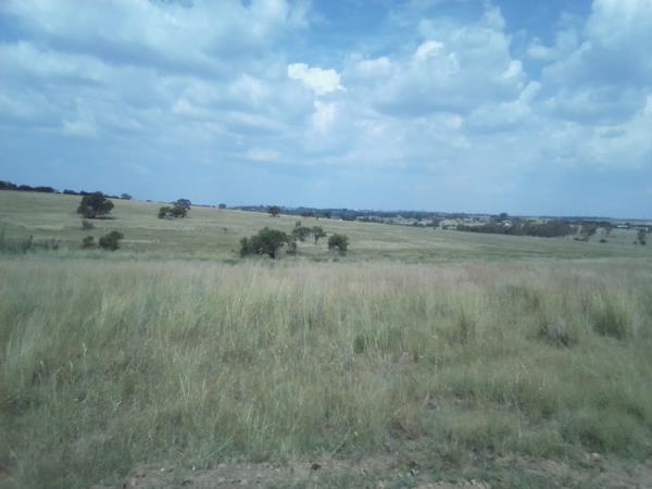 40 ha Land