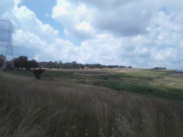 20 ha Land