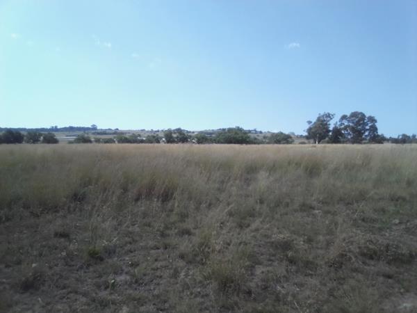 11 ha Land