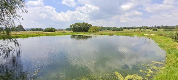 8.6 ha Smallholding