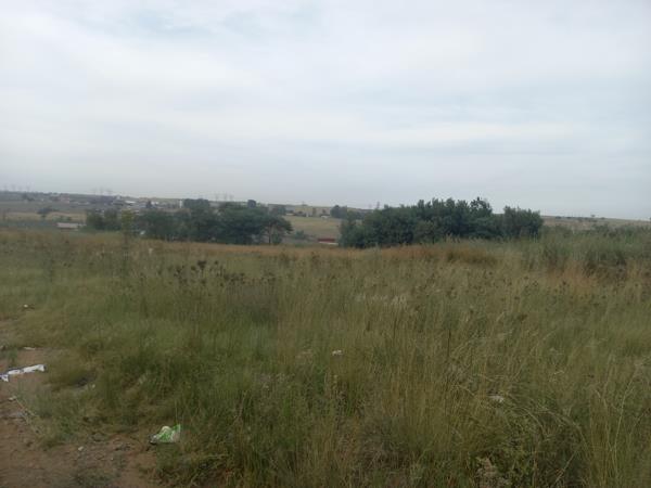 1 ha Land
