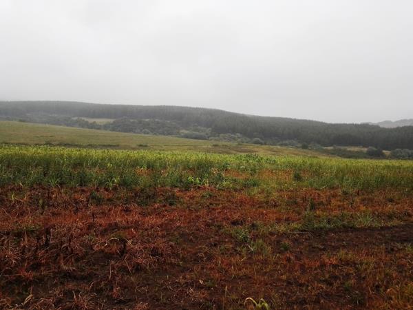 10.5 ha Land