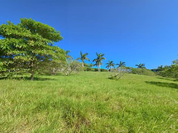 1 375 m² Land
