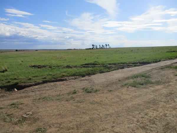 29 ha Land