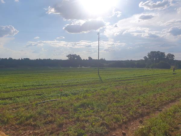 34.3 ha Smallholding