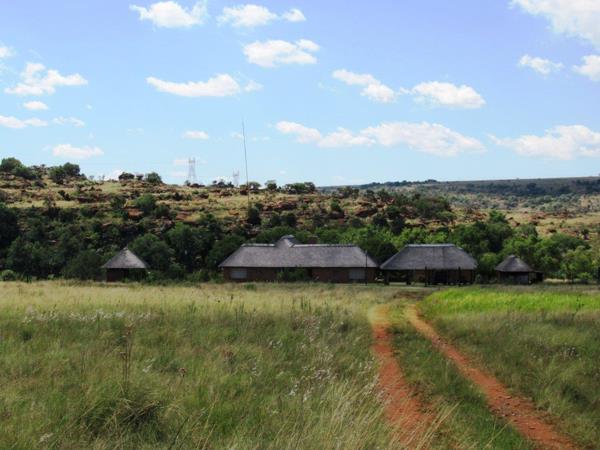 110 ha Commercial Farm