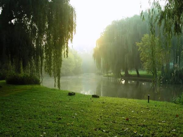 1 Bedroom Garden Cottage