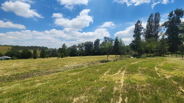 8 565 m² Land