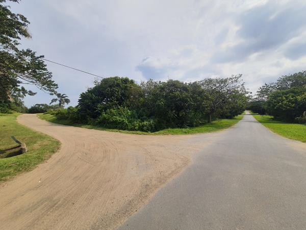 1 036 m² Land