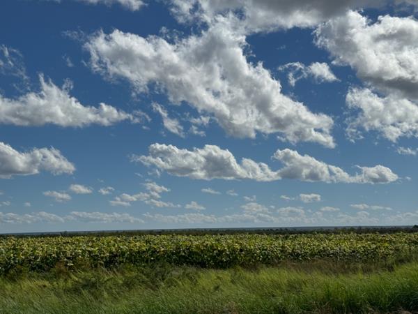 77 ha Farm
