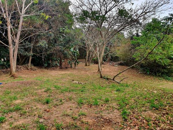 1 259 m² Land