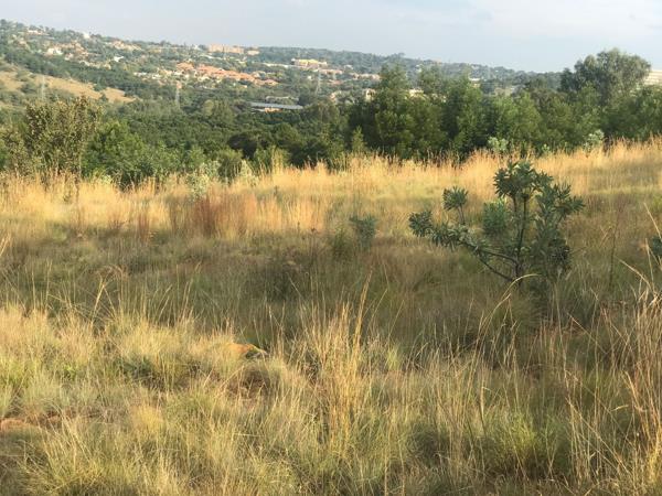 1 895 m² Land