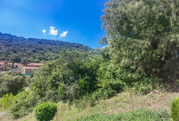 649 m² Land