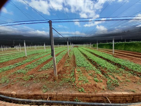 8 ha Farm