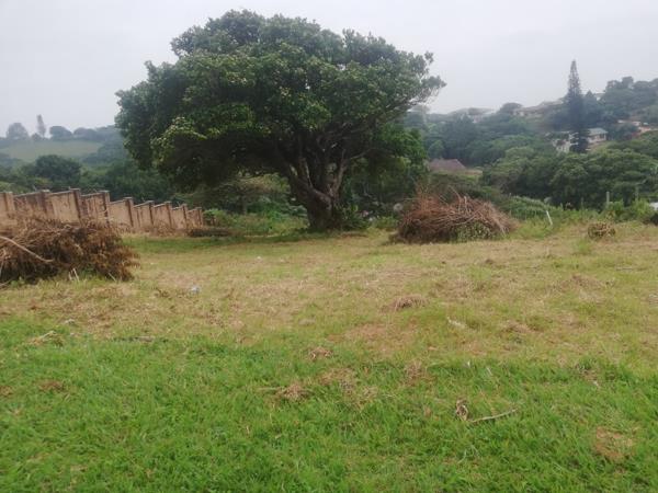 463 m² Land