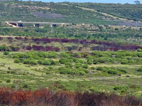 12.4 ha Agricultural Holding