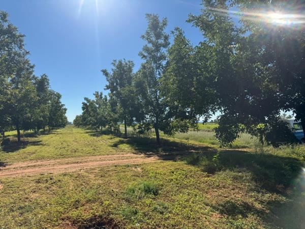 87.4 ha Farm