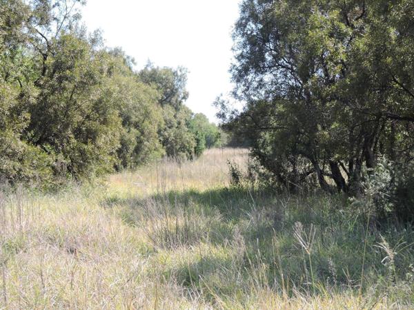 8.9 ha Land