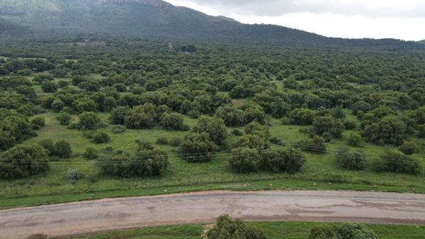 8.9 ha Land