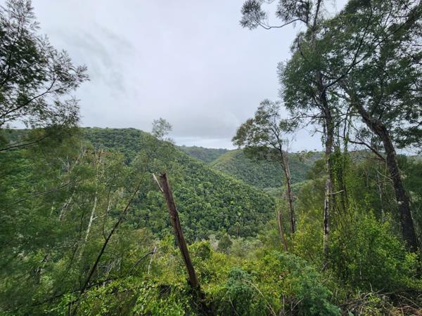 3.2 ha Land