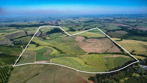 135 ha Farm