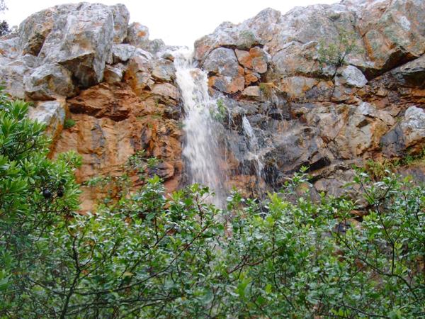 375 ha Farm with House