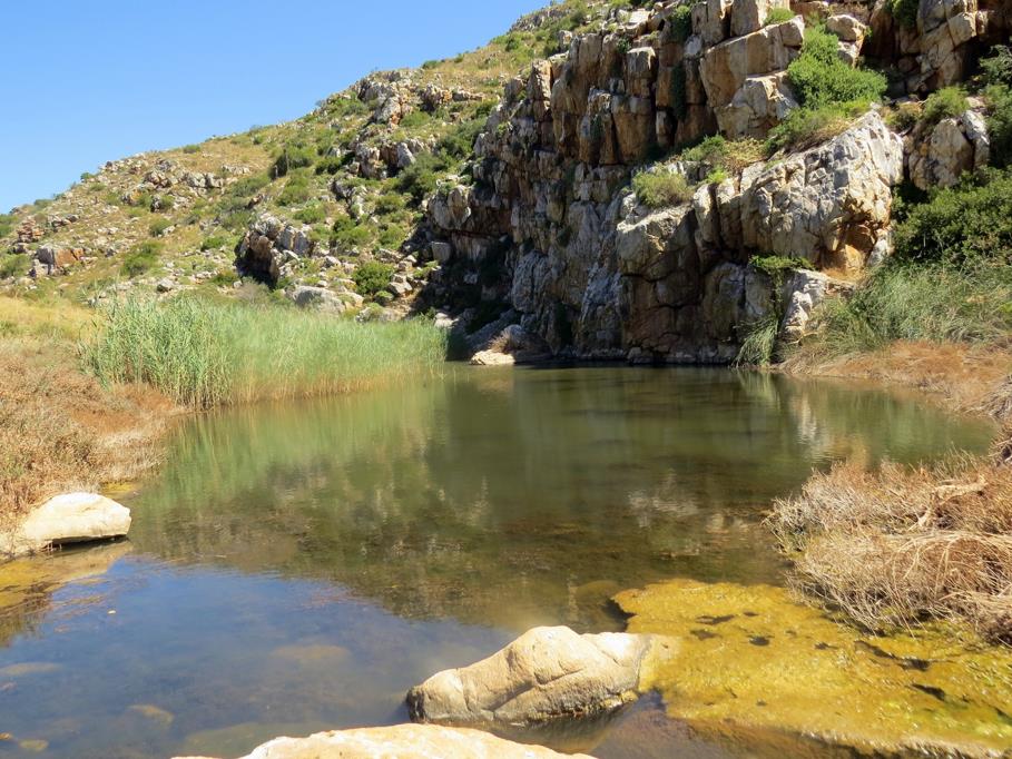 375 ha Farm with House