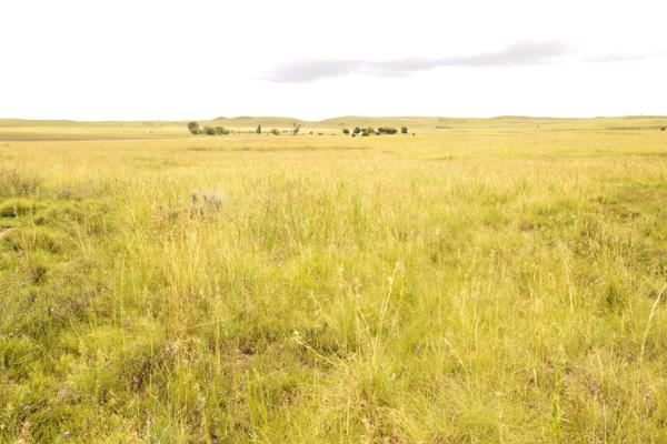 171 ha Farm