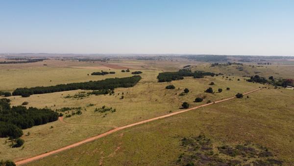 654 ha Farm