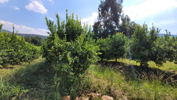 20 ha Farm