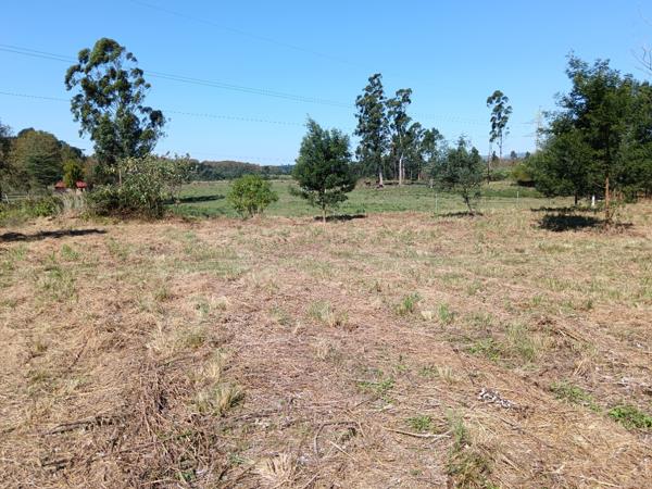 9 958 m² Land