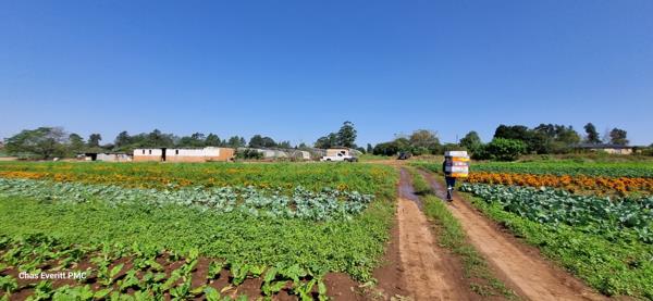 20.6 ha Agricultural Holding