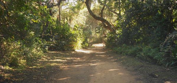 1 119 m² Land