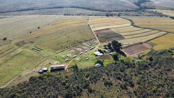 215 ha Farm