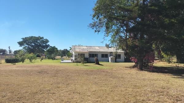 8.6 ha Smallholding
