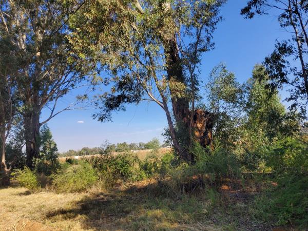 4.2 ha Land