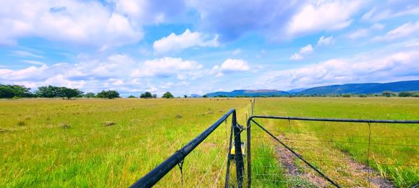 19 ha Farm